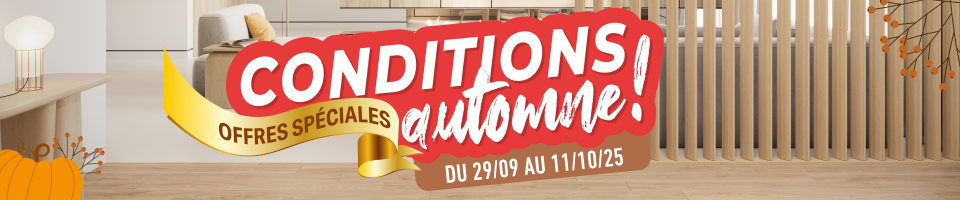 Conditions d'automne du 29/09 au 11/10 2025